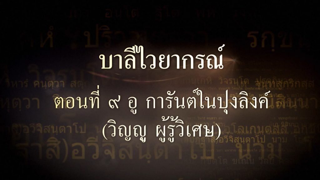 บาลีไวยากรณ์ ตอนที่ ๙ อู การันต์ในปุงลิงค์ (วิญญู ผู้รู้วิเศษ)