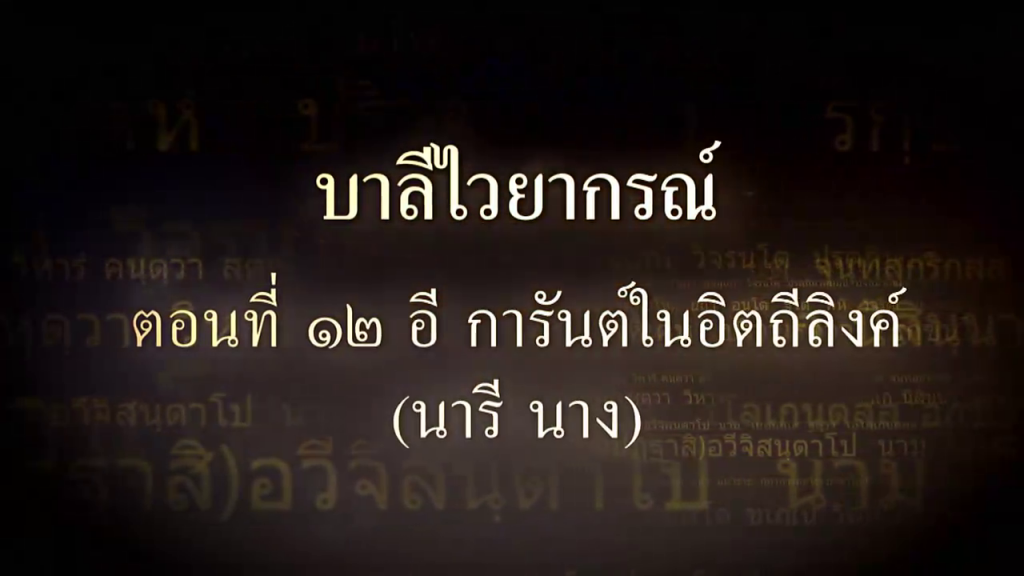 บาลีไวยากรณ์ ตอนที่ ๑๒ อี การันต์ในอิตถีลิงค์ (นารี นาง)